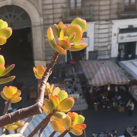 Appartement La Mansarda-roof Catane