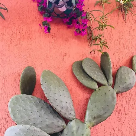 La Mansarda-roof Catane